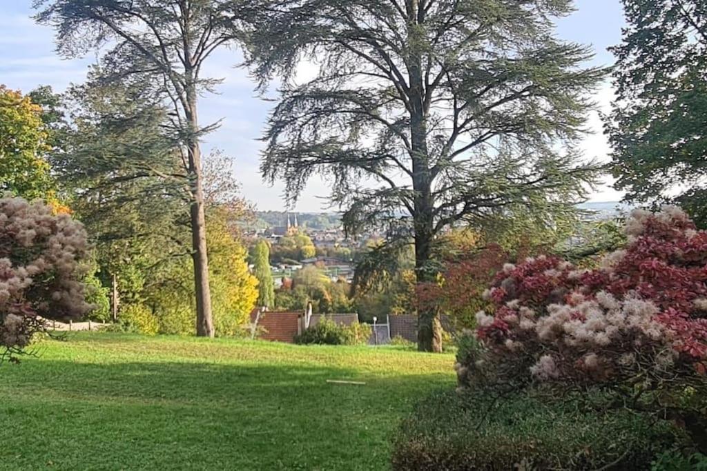 Appartamento Loft Les Deux Cedres Avec Vue Panoramique Charleville-Mézières Esterno foto